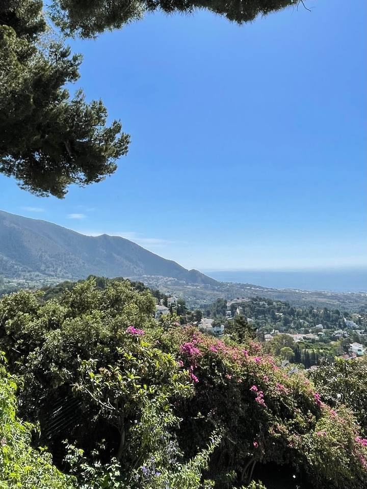 Uitzicht over groene heuvels en bougainville naar de bergen en de zee